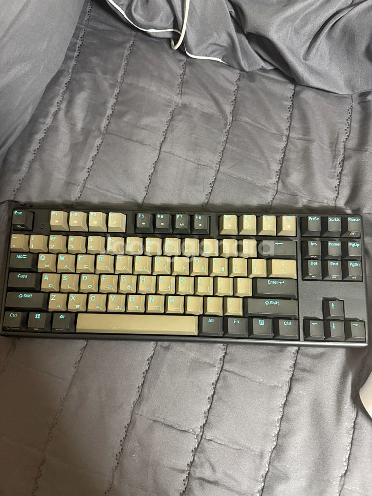 한성 gk993b 텐키리스 갈축 키보드--1