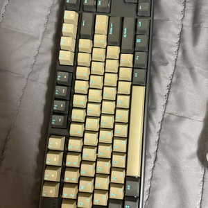 한성 gk993b 텐키리스 갈축 키보드