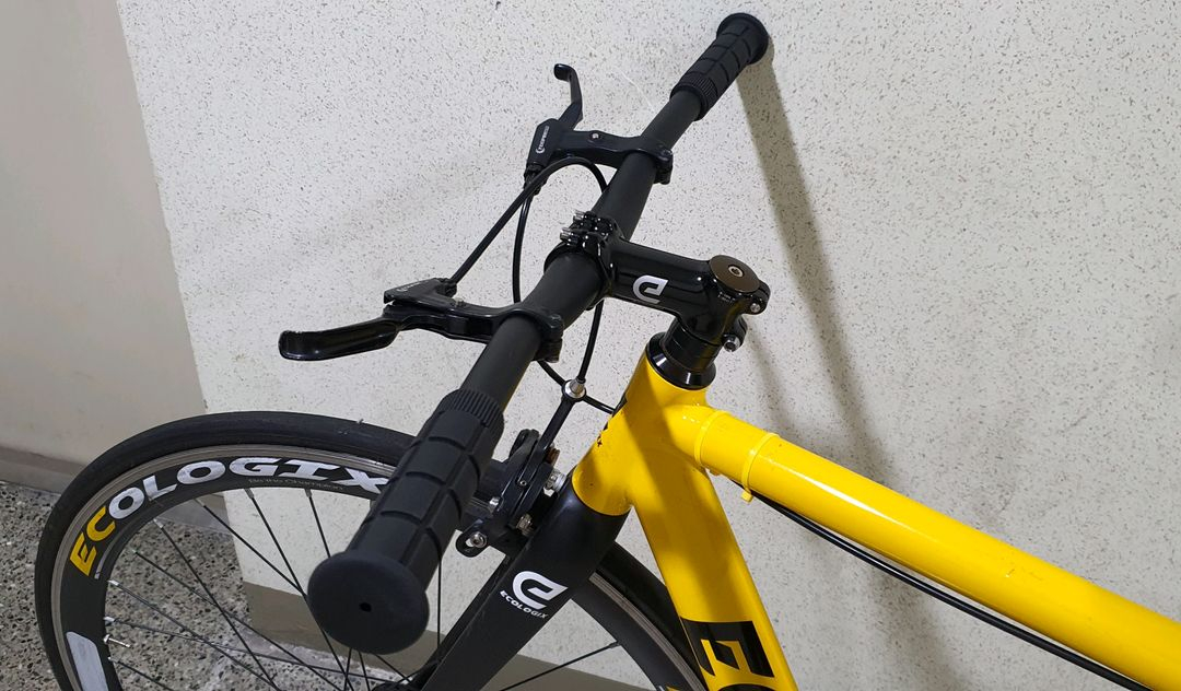 에콜로직스 r3 랩소디 이미지