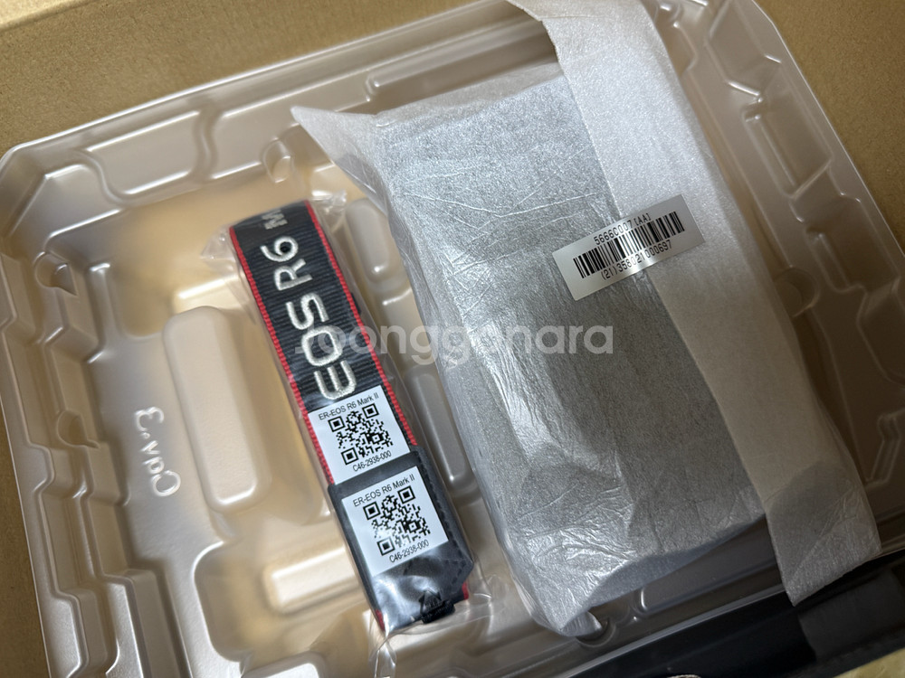 캐논 EOS R6 mark2--1