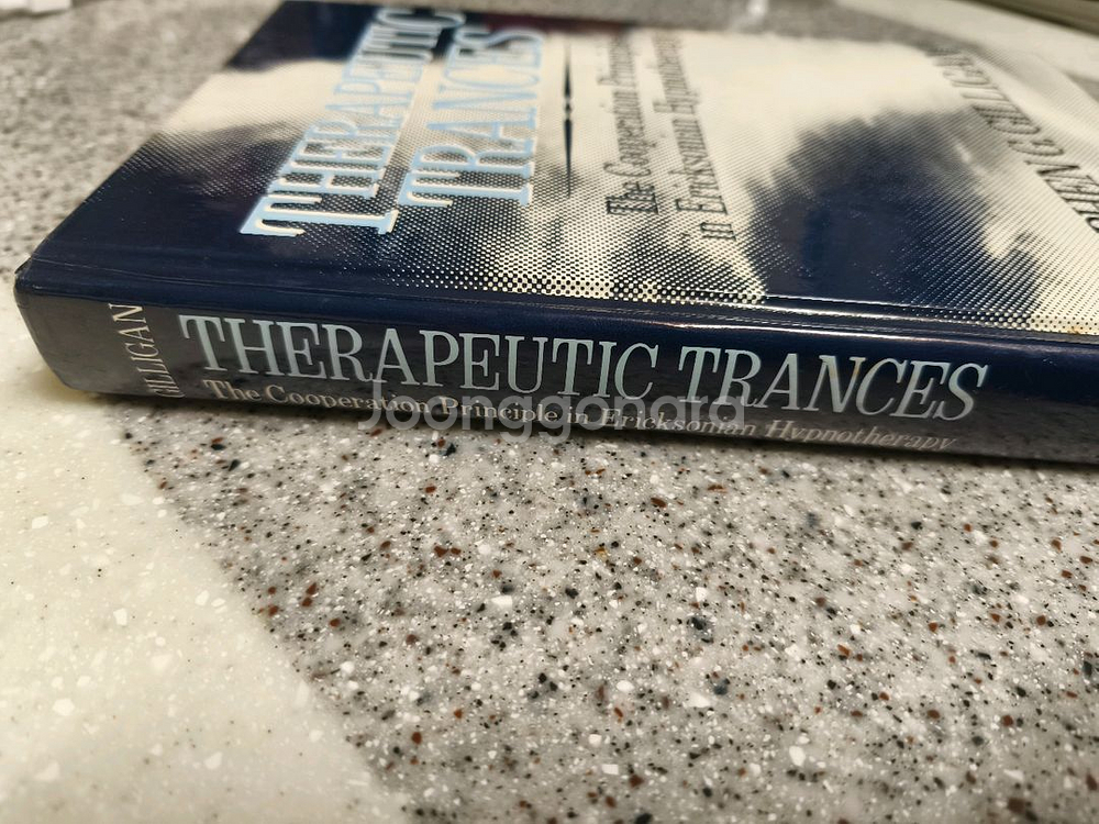 에릭슨 최면 원서 Therapeutic Trances--1