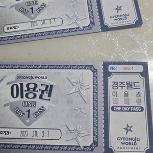 경주월드 자유이용권 2매