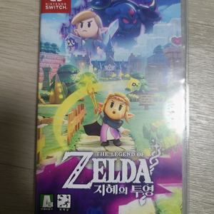 스위치 젤다의 전설 지혜의 투영