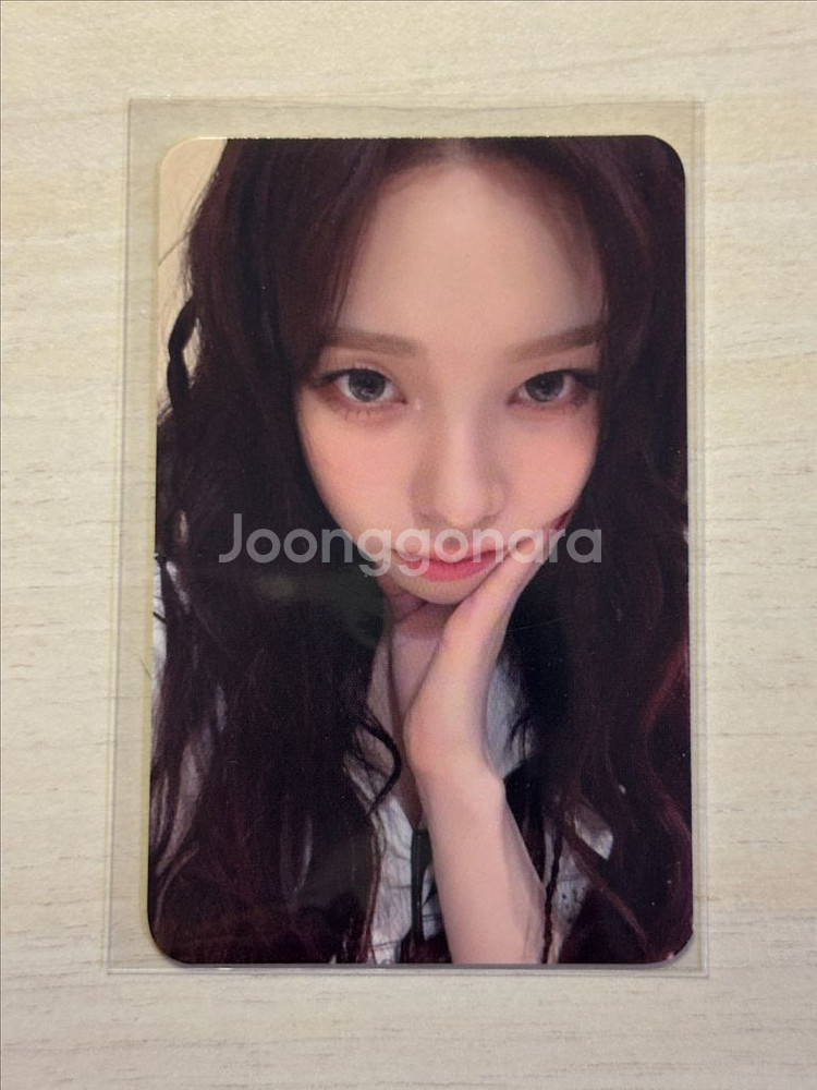 에스파 위플래쉬 팝업 신발끈 카리나 포카 위플래시--0