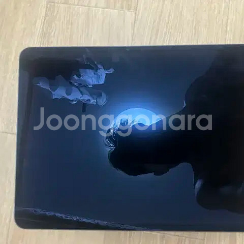 아이패드 13pro(m4)+애플팬슬 프로--2