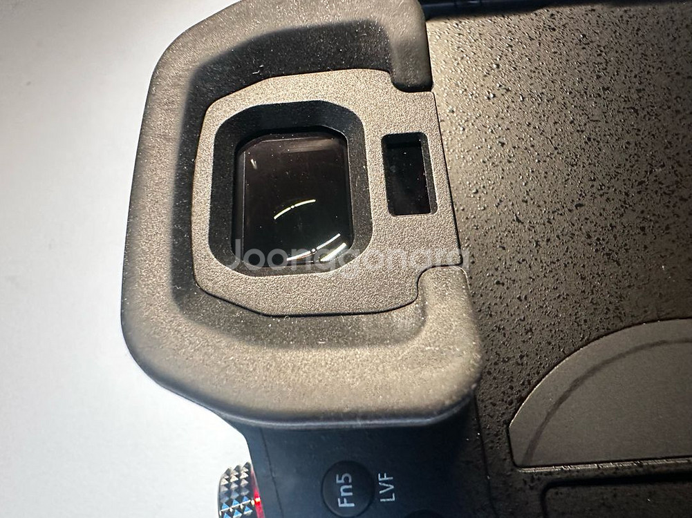 파나소닉 gh5s 2대--4