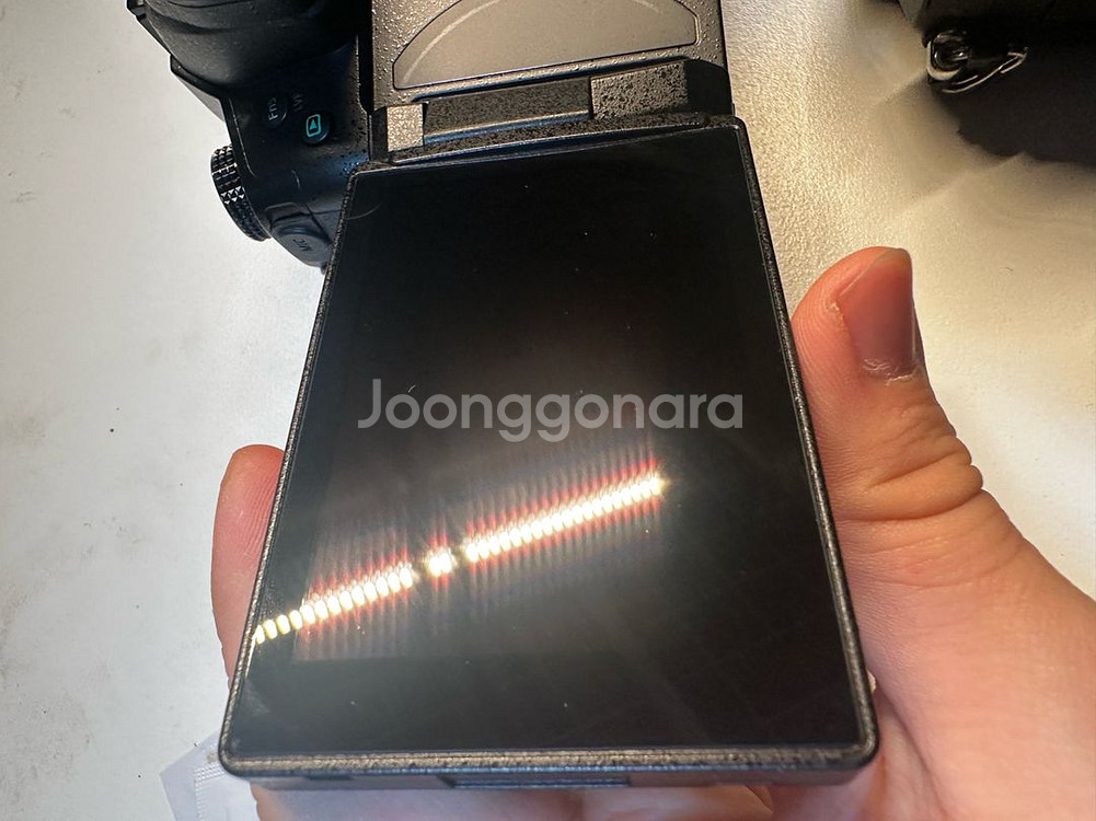 파나소닉 gh5s 2대--3