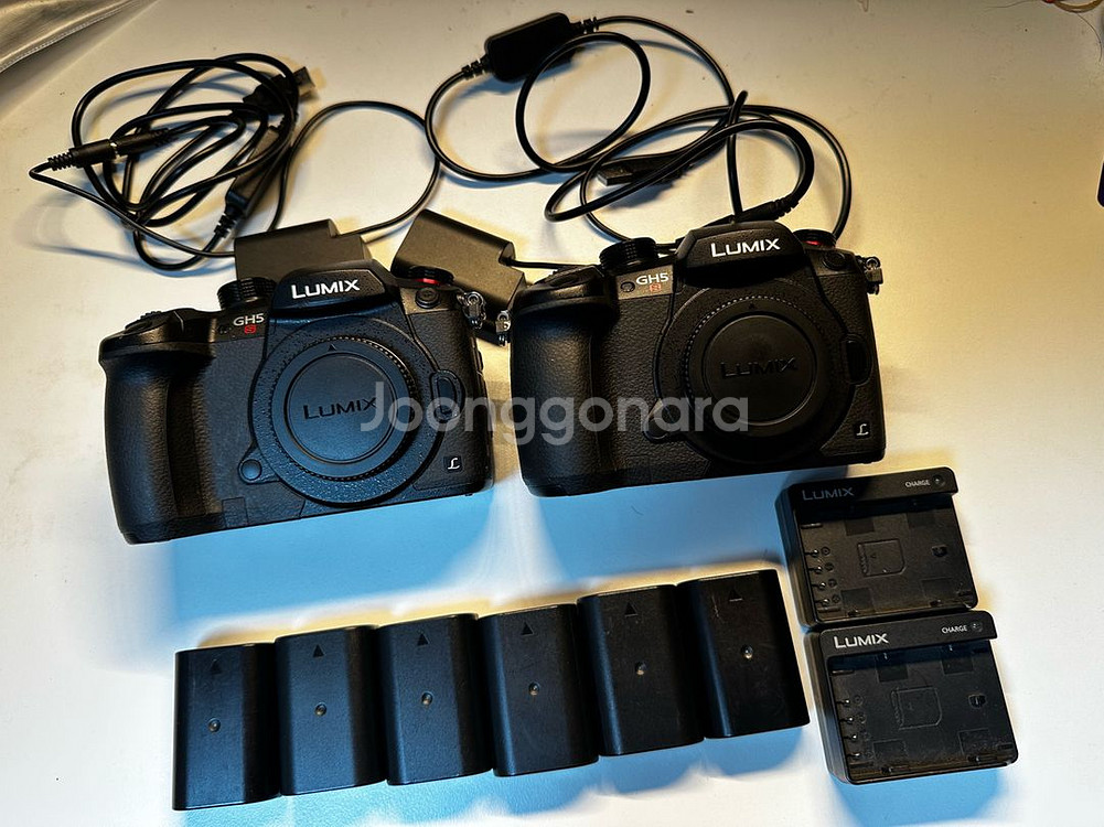 파나소닉 gh5s 2대--0