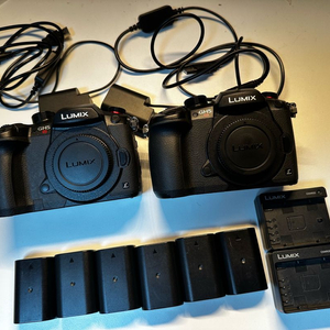 파나소닉 gh5s 2대
