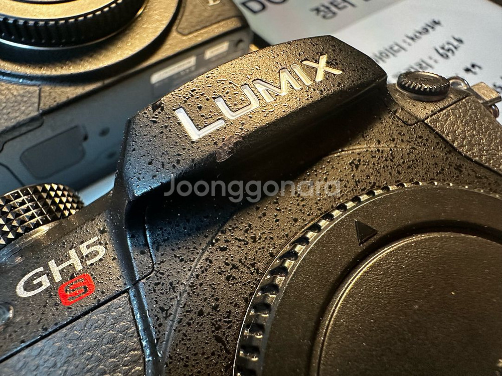 파나소닉 gh5s 2대--5