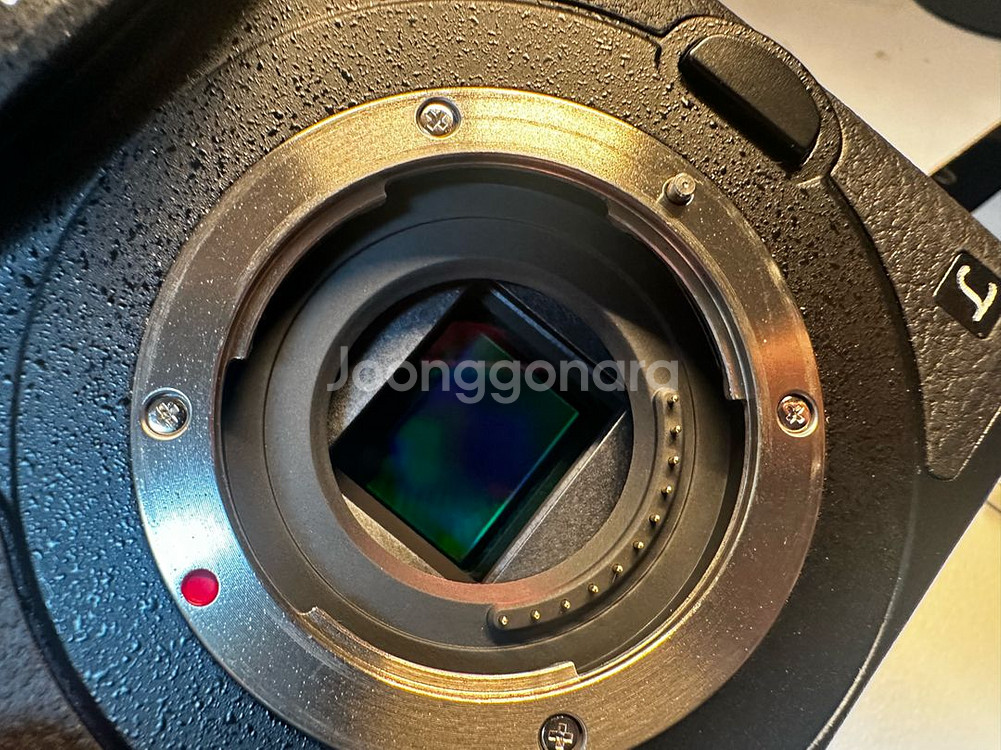 파나소닉 gh5s 2대--7