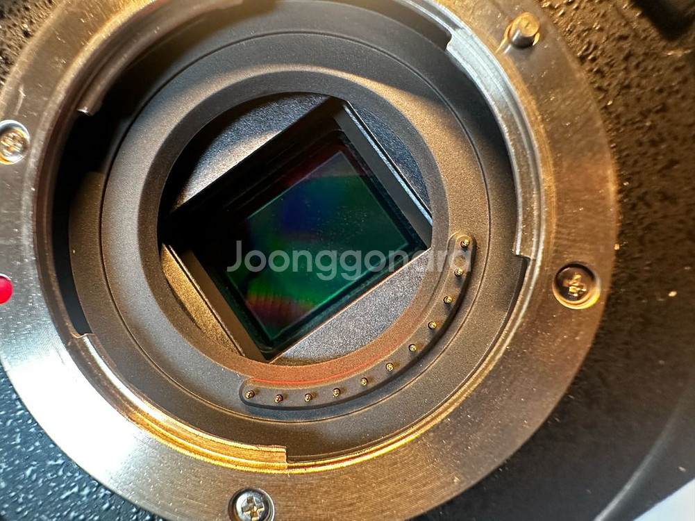 파나소닉 gh5s 2대--6