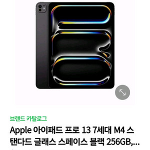 아이패드프로 m4 13 256