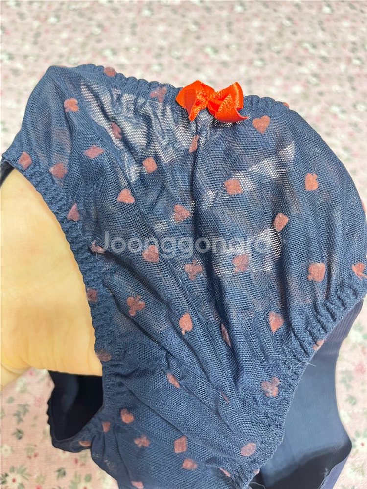 레이스망사 여성속옷/보디가드/프렌치엘/오모떼/면,매쉬--8