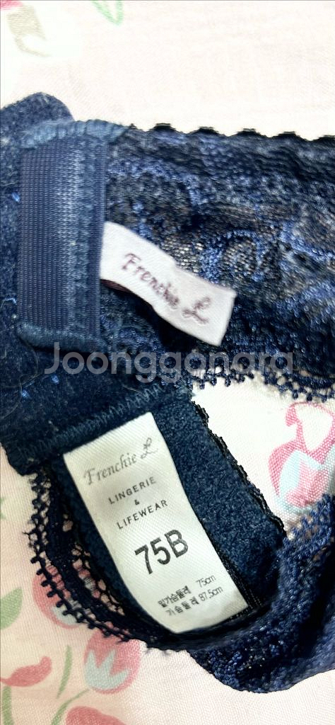 레이스망사 여성속옷/보디가드/프렌치엘/오모떼/면,매쉬--2