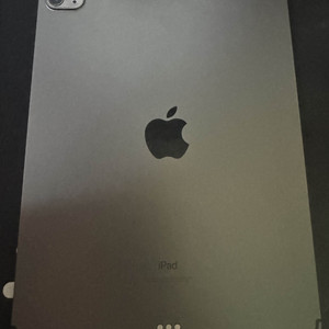 iPad Pro M1 11인치 3세대 셀룰러