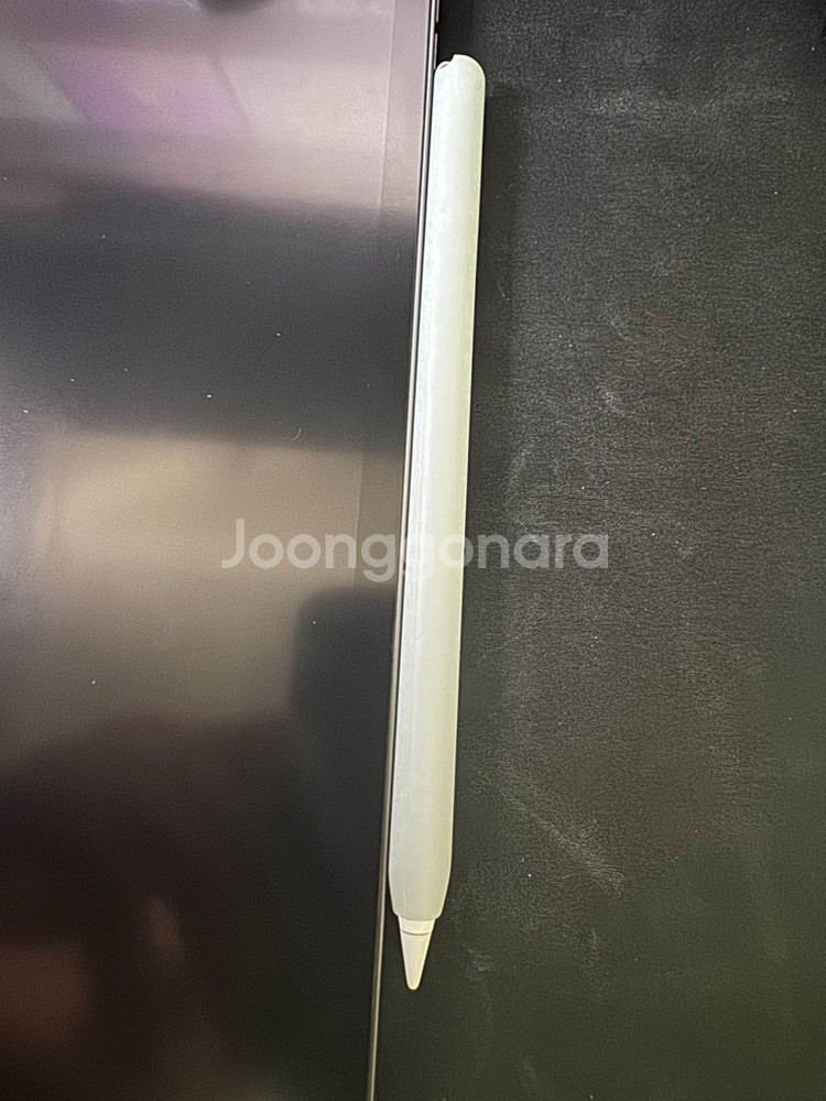 iPad Pro M1 11인치 3세대 셀룰러--3