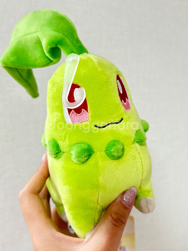 포켓몬센터 정품 치코리타 올스타콜렉션--0