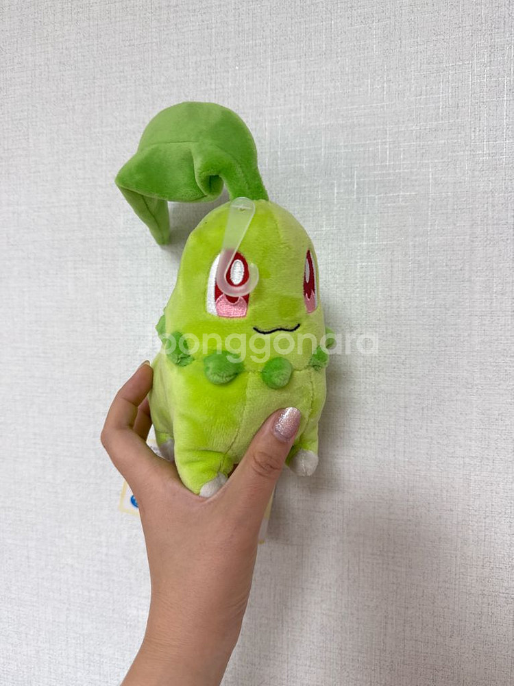 포켓몬센터 정품 치코리타 올스타콜렉션--1