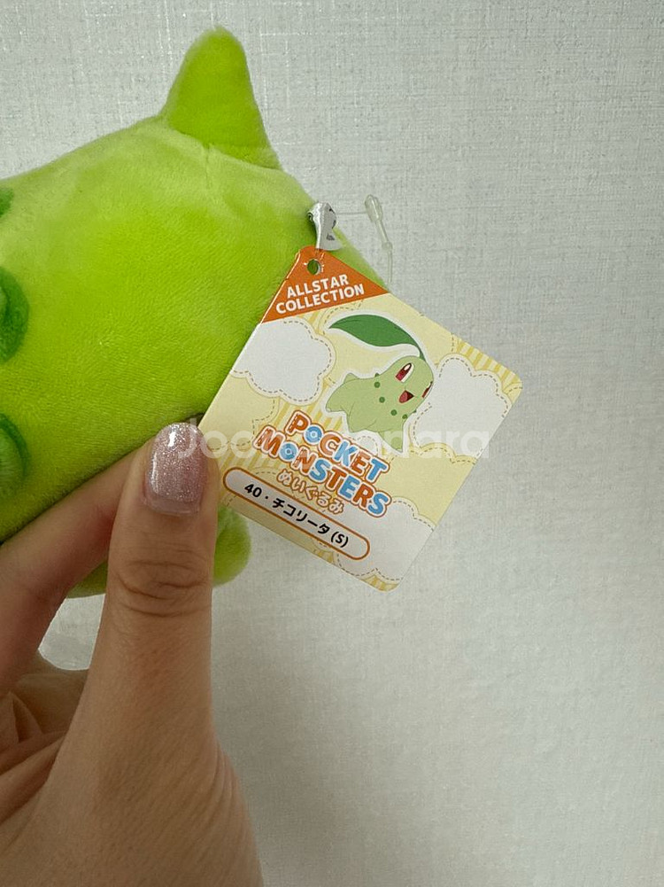 포켓몬센터 정품 치코리타 올스타콜렉션--3
