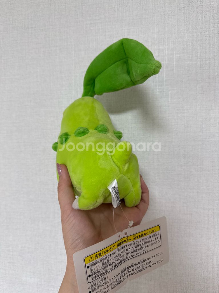포켓몬센터 정품 치코리타 올스타콜렉션--2