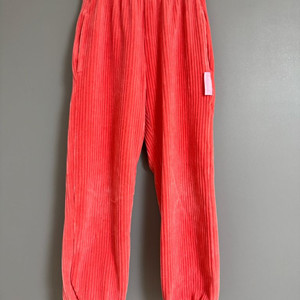 에어피쉬 코듀로이 팬츠 L 몰랑이