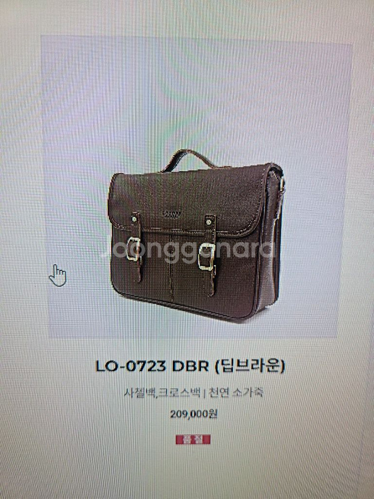 ss급 로터프 사첼백--3