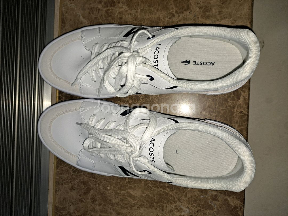 라코스테 신발--5