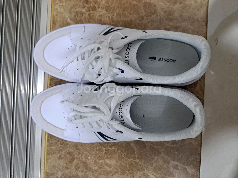 라코스테 신발--4