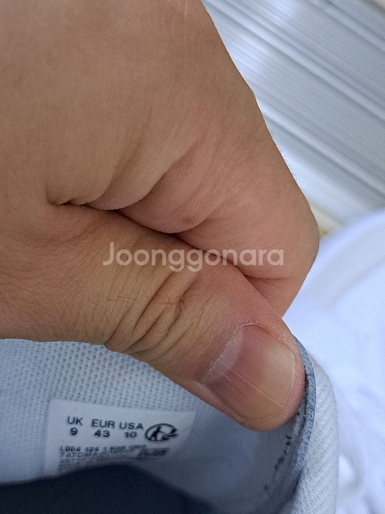 라코스테 신발--6