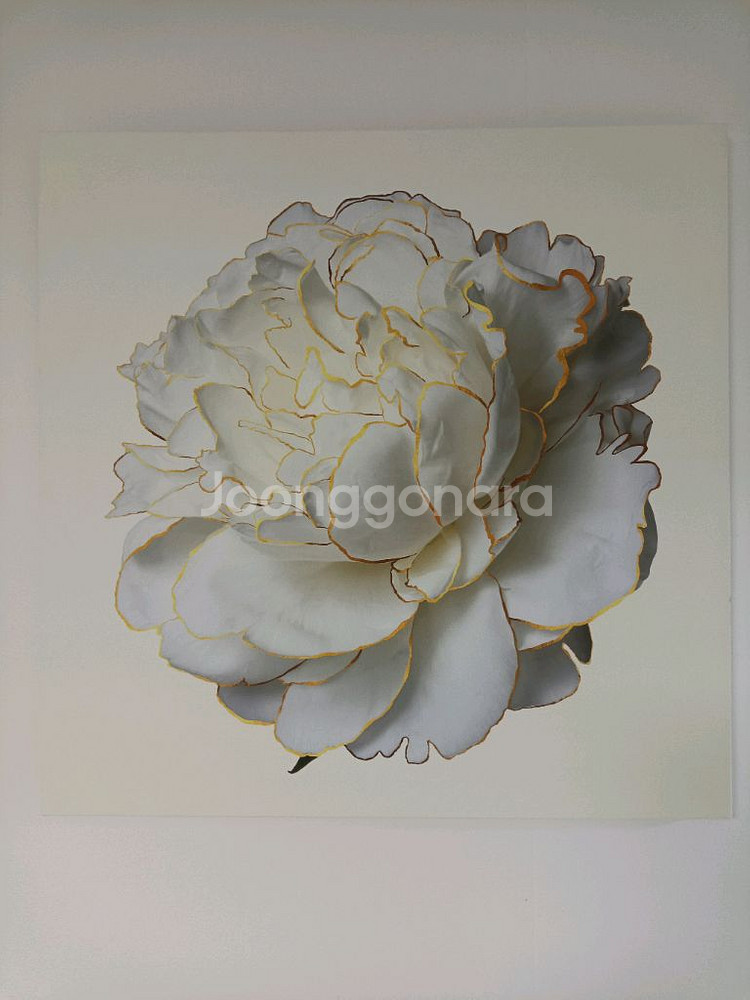 풍수 황금 모란 캔버스 액자 50*50--0