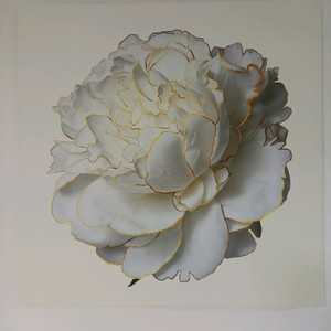 풍수 황금 모란 캔버스 액자 50*50