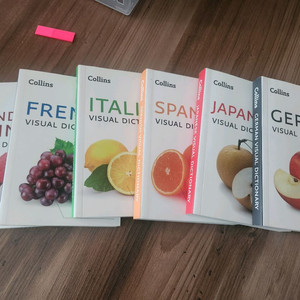 콜린스 비주얼 사전 팝니다