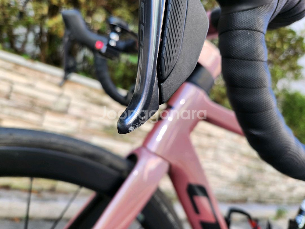 첼로 엘리엇E8--2