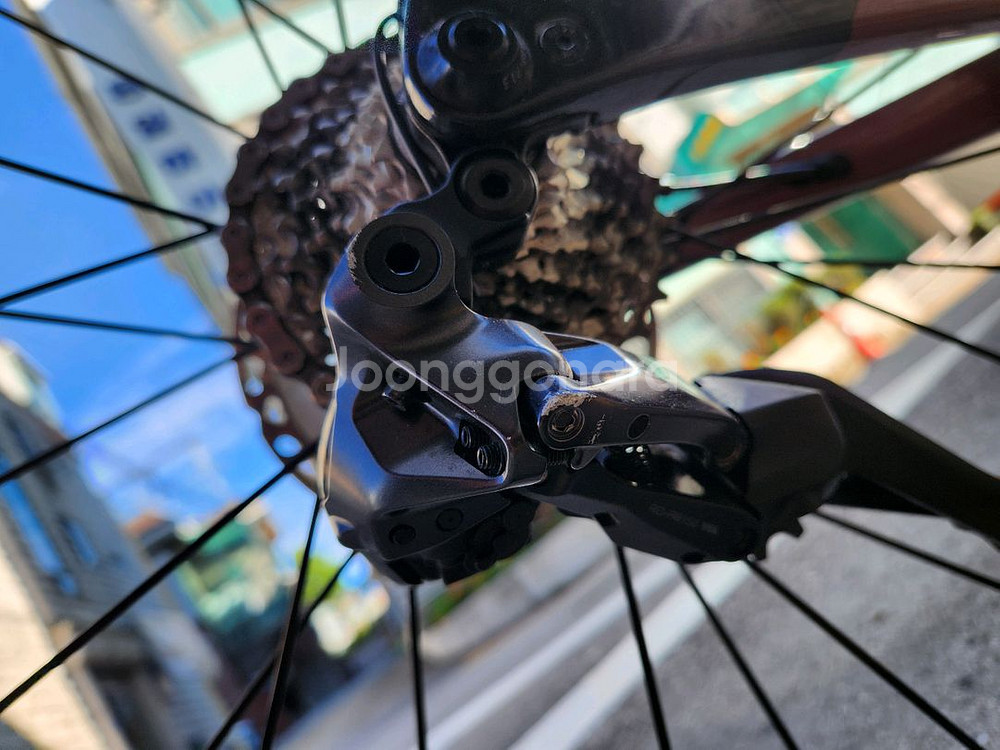 첼로 엘리엇E8--4