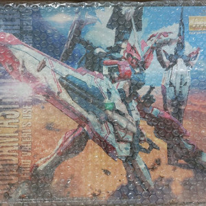 MG 건담 아스트레이 턴 레드