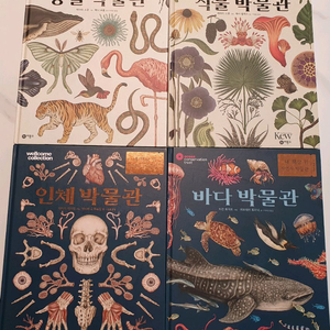 내 책상 위 자연사 박물관 4권