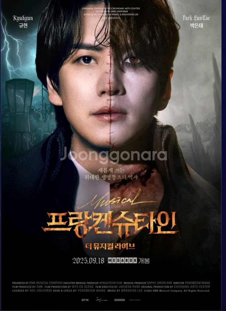 메가박스 모든영화 9000원 돌비시네마 10% 할인--6
