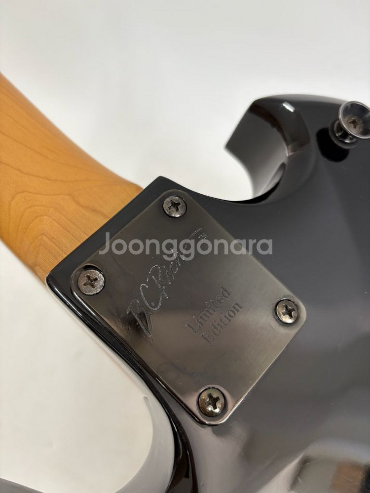 비씨리치 모킹버드 바디 아트 시리즈 일렉기타--3