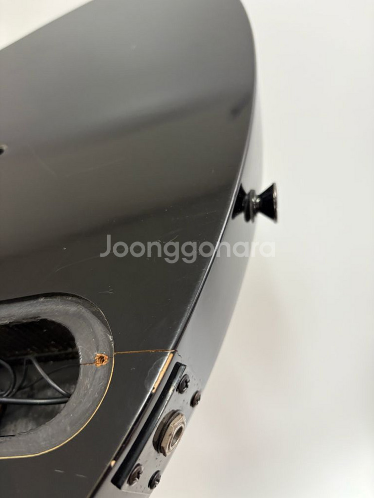 비씨리치 모킹버드 바디 아트 시리즈 일렉기타--6