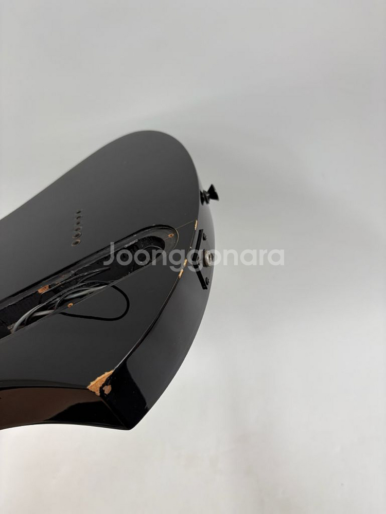 비씨리치 모킹버드 바디 아트 시리즈 일렉기타--5