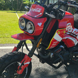 cfmoto 파피오 xo-2