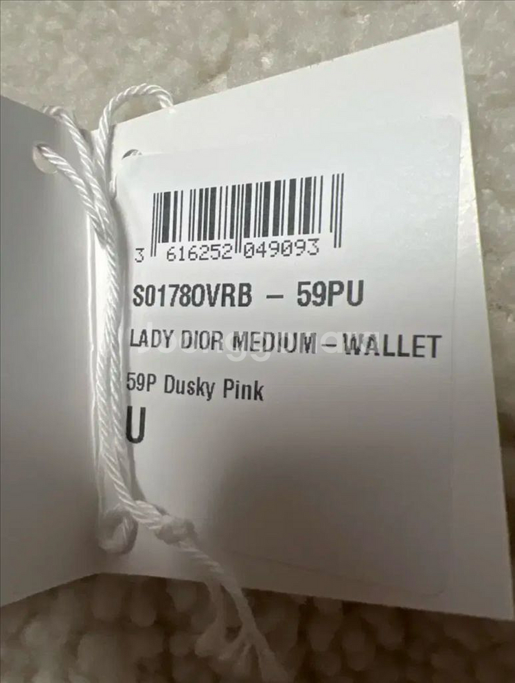 LADY DIOR MEDIUM - Dusky Pink--3
