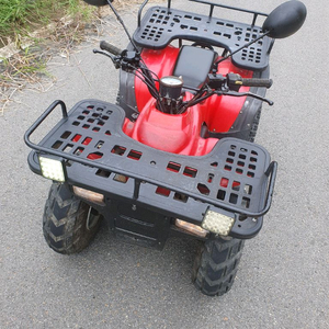 kr모터스 와우100 엔진 좋아요 3천키로 주행 79만