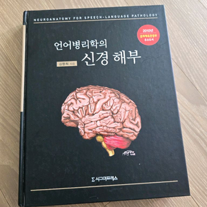 언어병리학의 신경해부