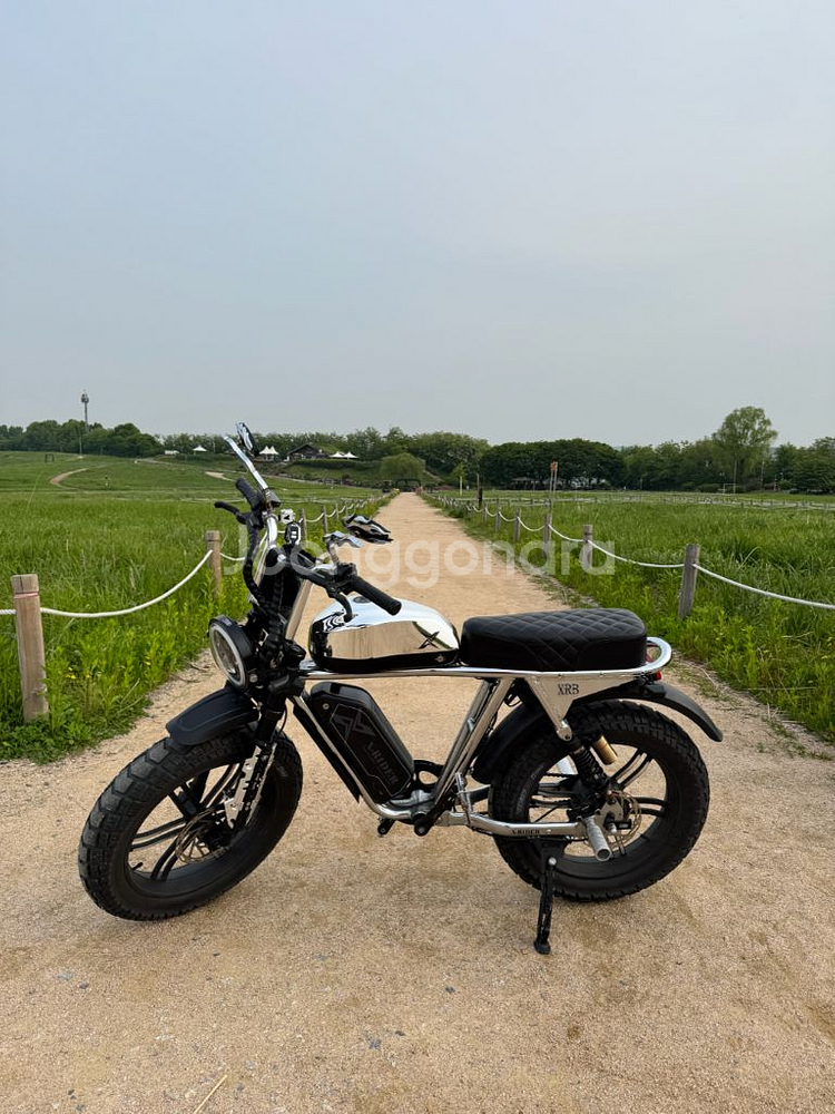 [S급풀튜닝] 엑스라이더 x200 프로 크롬 자토바이(--0