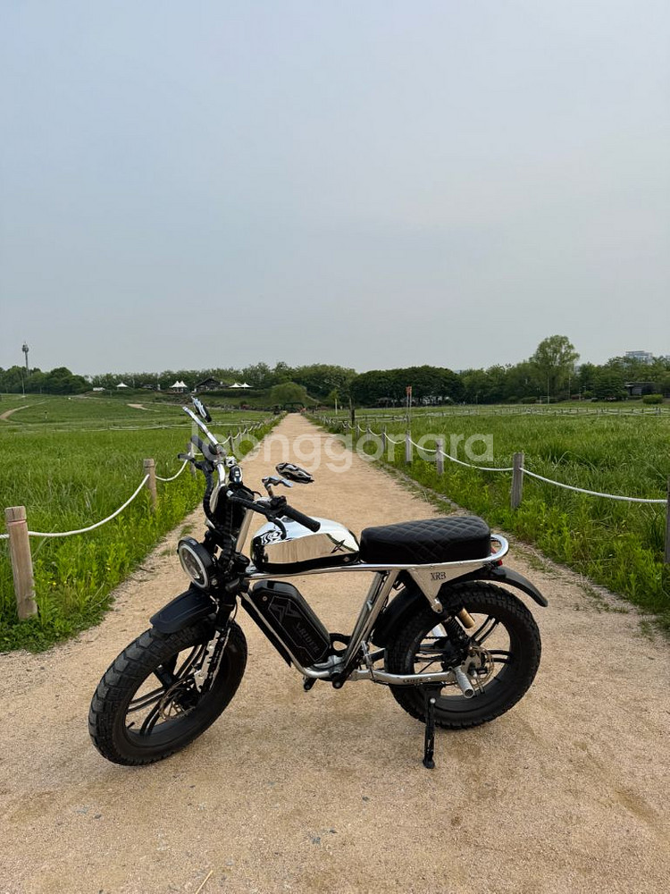 [S급풀튜닝] 엑스라이더 x200 프로 크롬 자토바이(--1