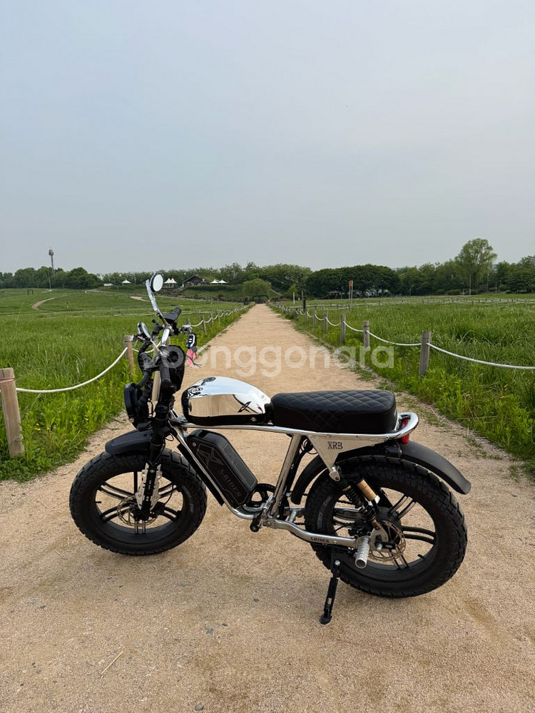 [S급풀튜닝] 엑스라이더 x200 프로 크롬 자토바이(--2