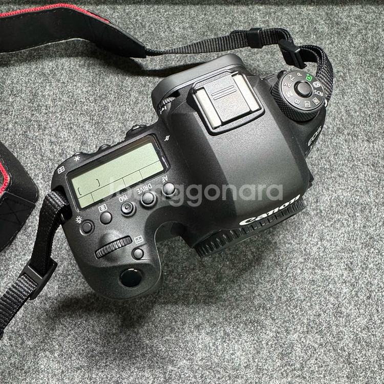 캐논 6D Mark2 (육두막) DSLR 팝니다.--1
