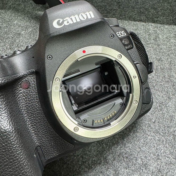 캐논 6D Mark2 (육두막) DSLR 팝니다.--3